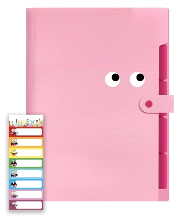 NISUN 5 Pocket Expanding File Folder with Fun Sticky Labels, Letter Size Accordion File Organizer, Portable Folders for Documents, Aesthetic Paper Organizer for School & Office – Pink