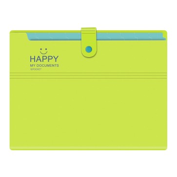 NISUN 12 Pocket Expanding File Folder Accordion Document Organizer, Adjustable Buckle Folder Pocket Folder for School Office Home (Yellow)