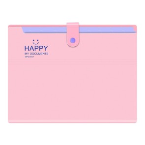 NISUN 12 Pocket Expanding File Folder Accordion Document Organizer, Adjustable Buckle Folder Pocket Folder for School Office Home (Pink)