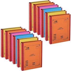 SNDIA 12 Pack Spring Files File A4 Size Paper Cobra File Document Holder Certificates Holder- Color May Vary (35 x 26 x 3.5 cm)