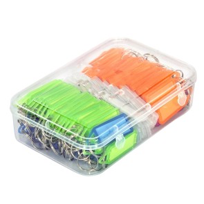 SNDIA Plastic 100 Pcs Multicolor Id Name Keyrings & Keychains Key Tags with Label- 1 Box- 19X13X5 Cm, Multi-Coloured