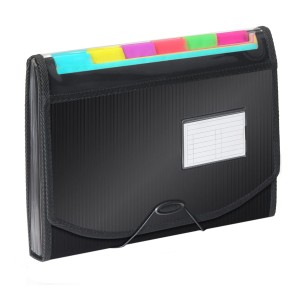 NISUN File Folder 13 Pockets A4 Accordion Folder Document Organiser, Portable Plastic Folder Letter Size Document Storage with Coloured Tags for Office and School (33 * 24cm)